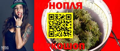 прущие грибы Сланцы