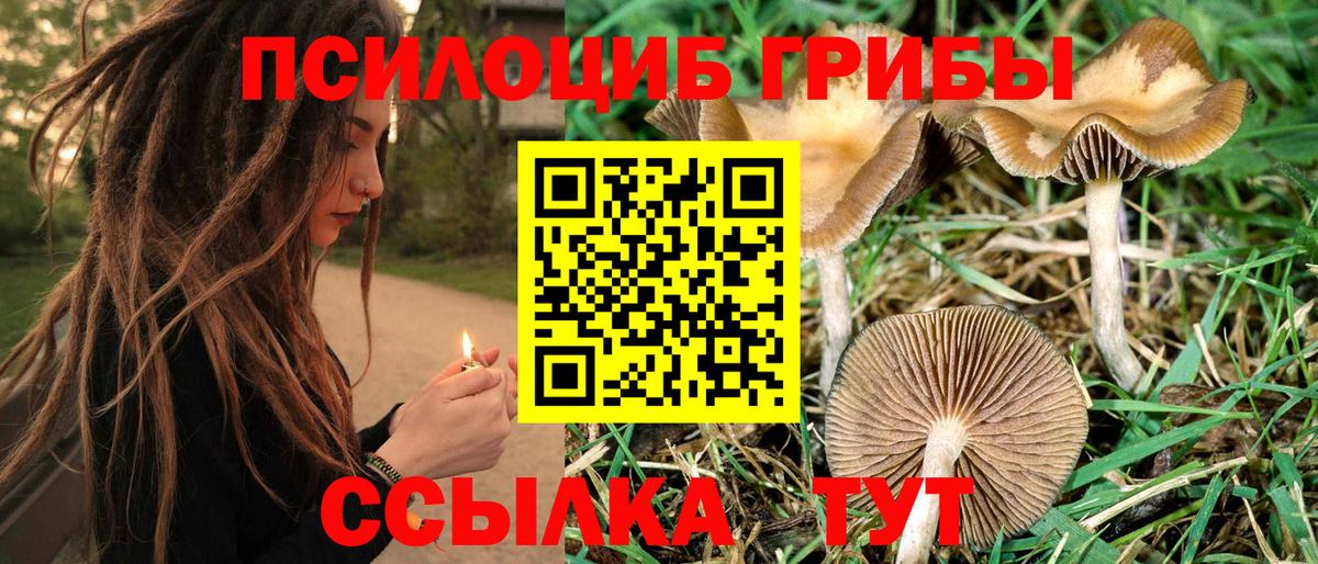 Шали  Псилоцибиновые грибы мухоморы  Псилоцибиновые грибы мухоморы  Вход с VPN 
