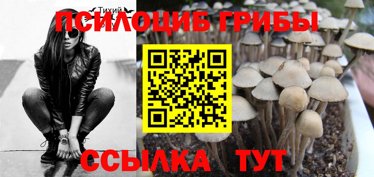 Галлюциногенные грибы мицелий Шали